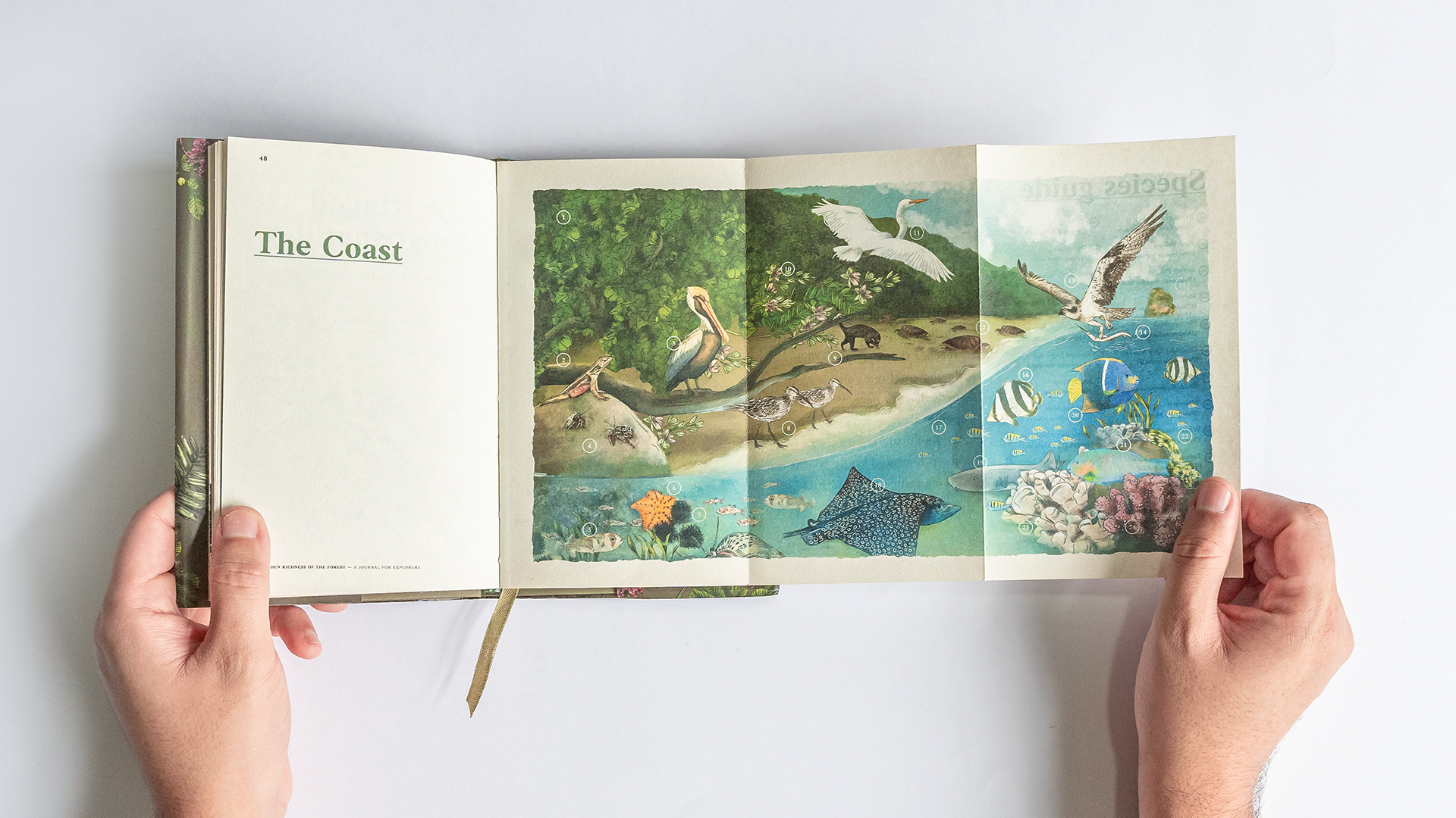 Nature-Journal-04