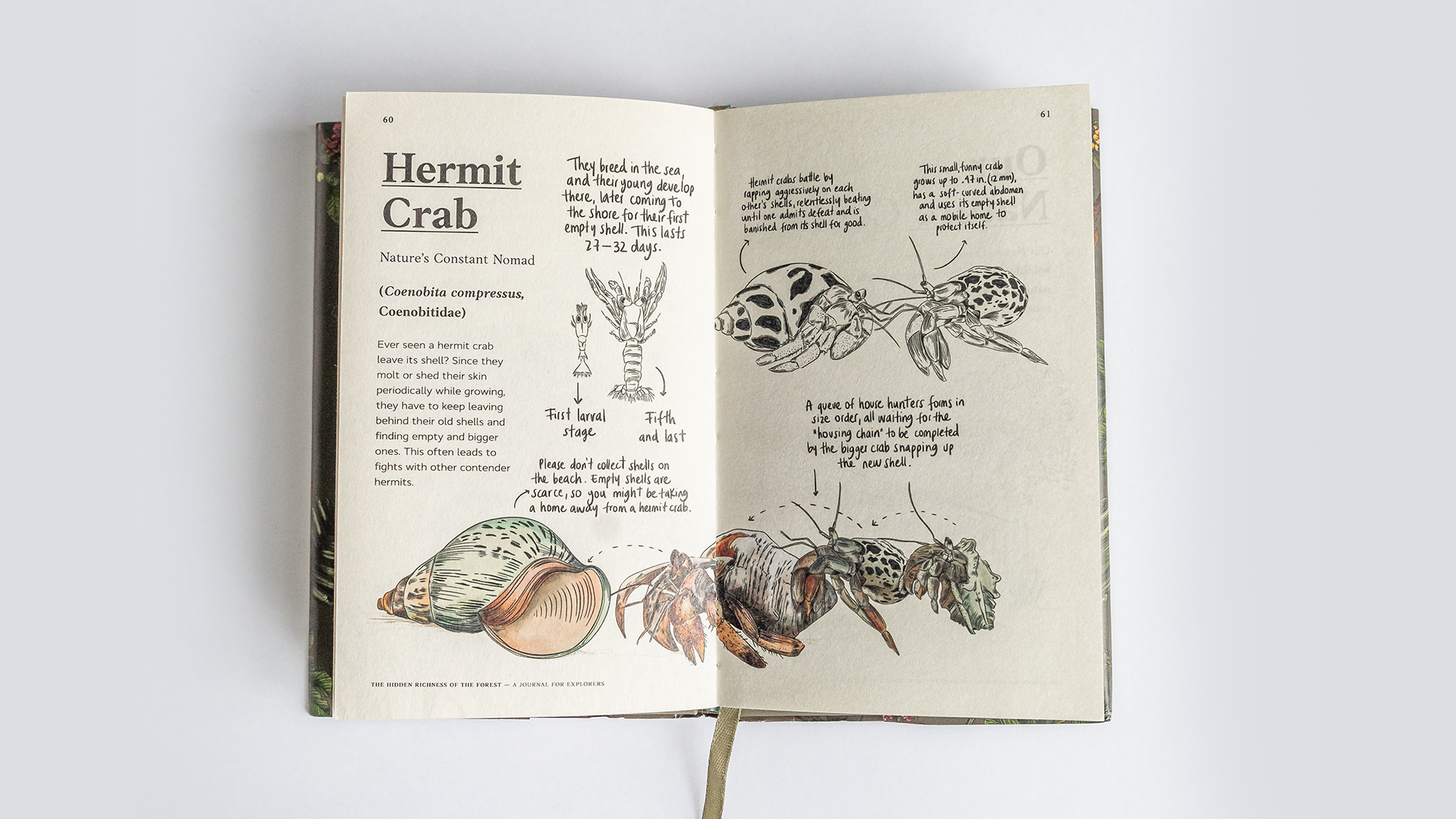 Nature-Journal-05