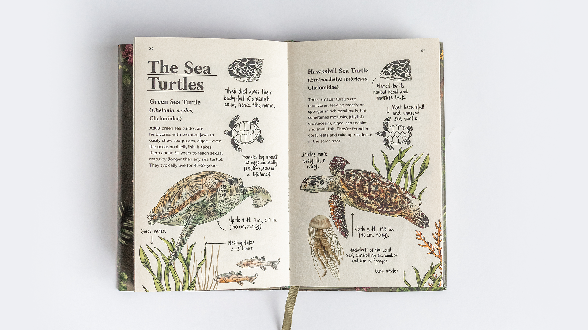 Nature-Journal-06