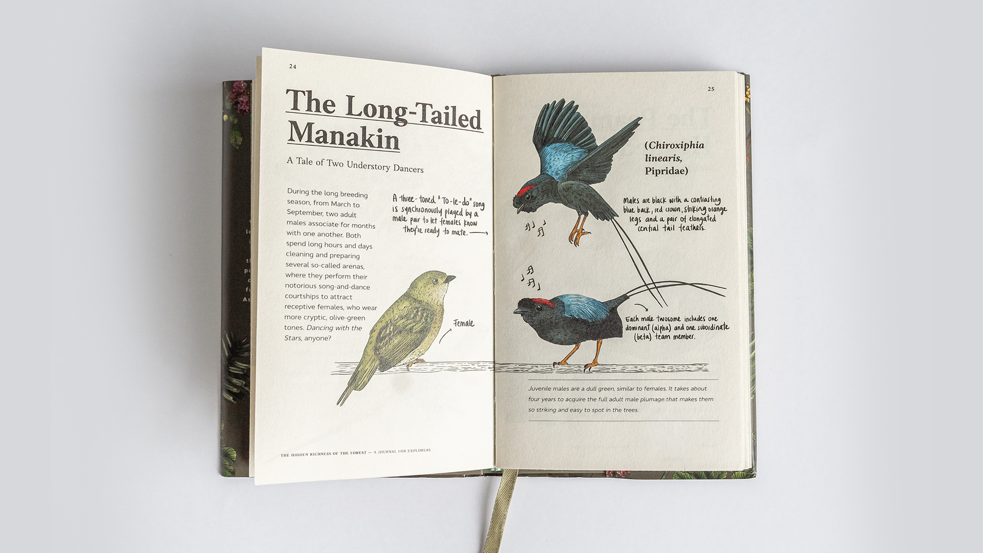 Nature-Journal-09