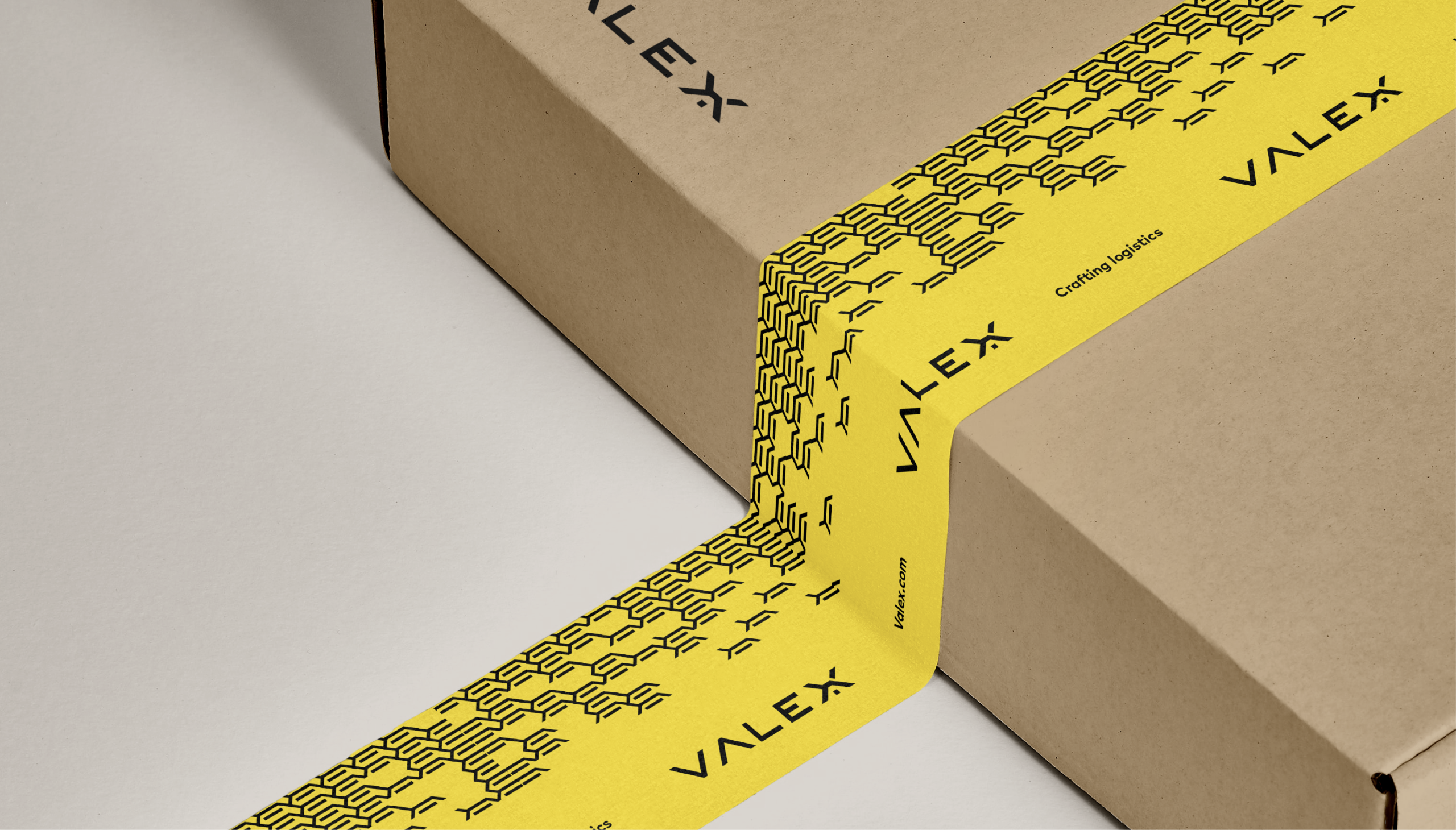 WO-000_TC_Behance_Branding-Valex_V29DIC22-10