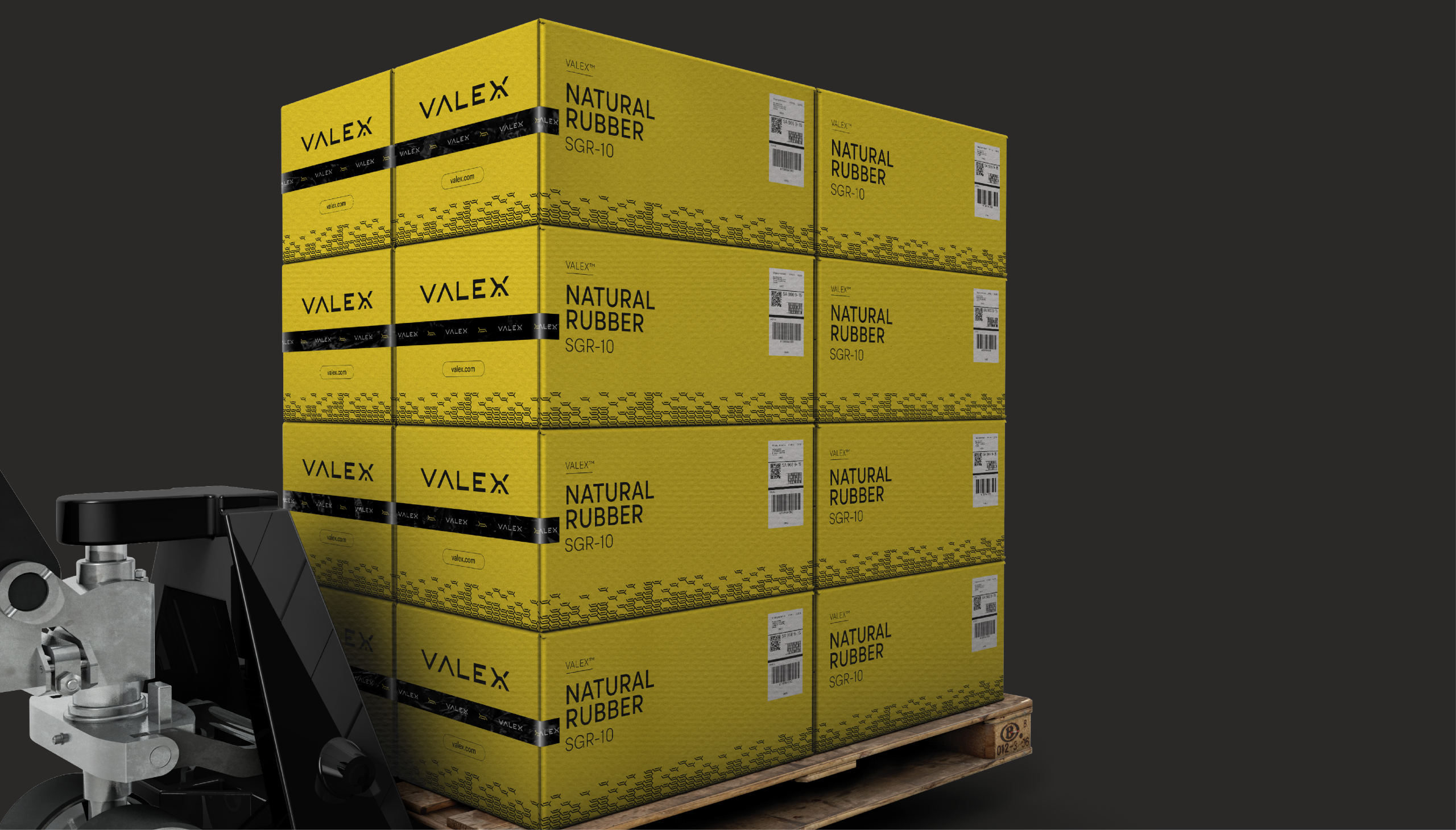 WO-000_TC_Behance_Branding-Valex_V29DIC22-12