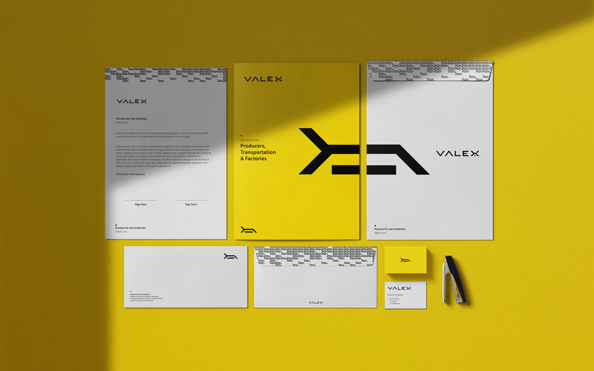 WO-000_TC_Behance_Branding-Valex_V29DIC22-16
